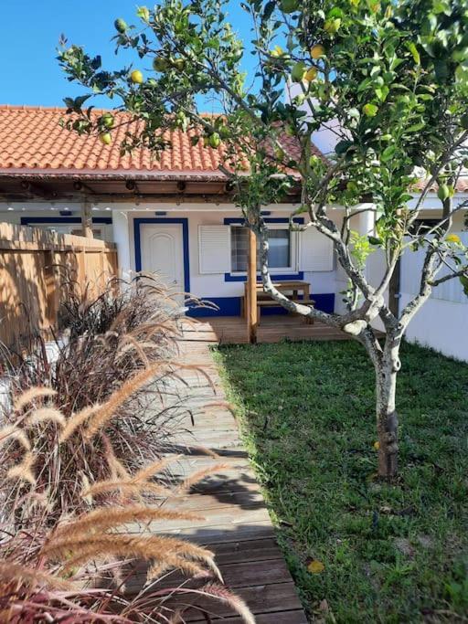 Sado House 3 Villa Comporta Kültér fotó